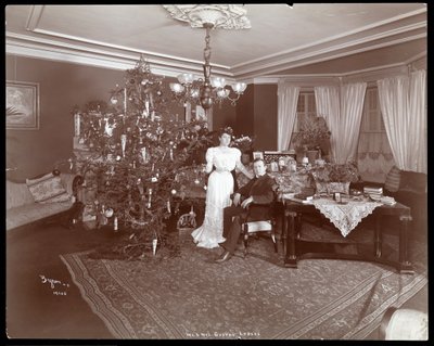 Mr. and Mrs. Gustav Luders by Byron Company
